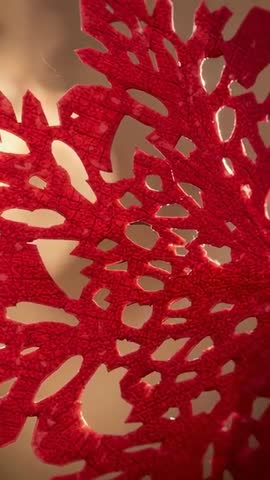 Vertical Macro Crimson Lace Filigree Shifting Over Warm Backlight Revealing Glowing Holes