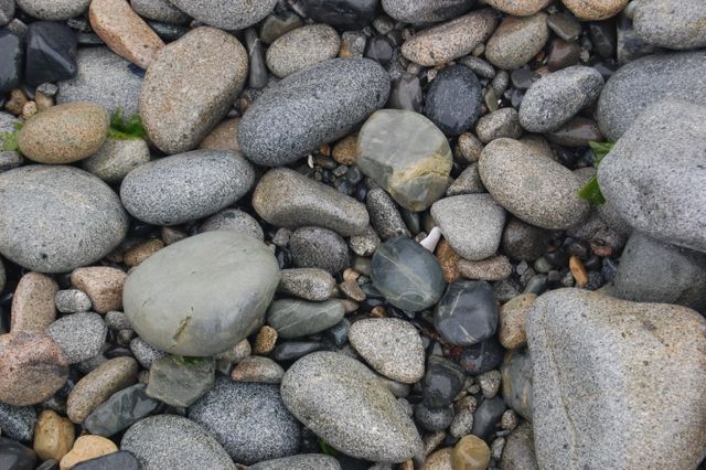 Various smooth multicolored pebbles scattered on a beach shore. Colors range from shades of gray to light brown. Ideal for use in backgrounds, nature-related content, coastal or ocean scenes, and environmental themes.