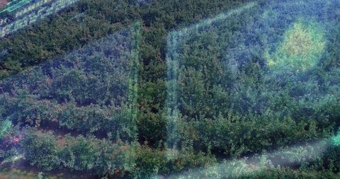 Aerial farmland with dirt paths and lens flare