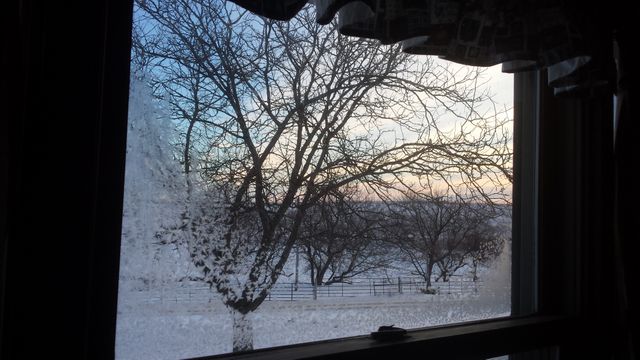 This serene photo captures a tranquil winter landscape viewed through a frosted window. Bare trees and a snow-covered ground are bathed in the soft light of the setting sun, creating a picturesque scene. Perfect for conveying themes of winter, tranquility, nature's beauty, and the calmness associated with cold weather. Ideal for use in greeting cards, seasonal promotions, nature blogs, and winter-themed content.