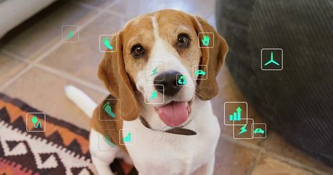 Beagle Dog Surrounded by Digital Technology Icons and Analytics Visuals