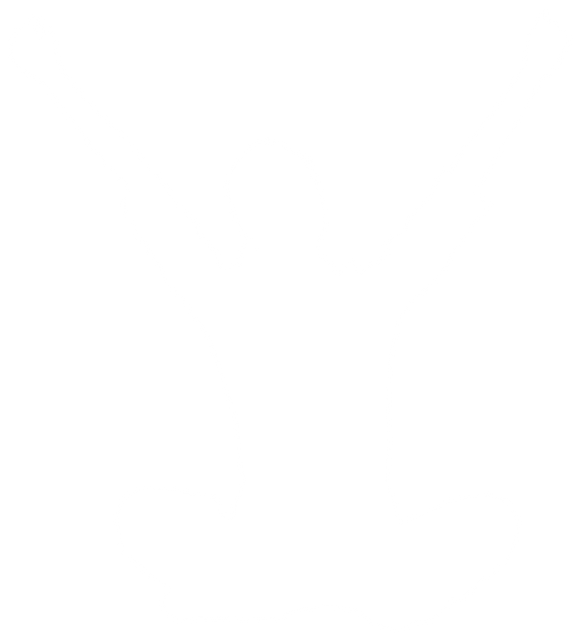 Transparent Silhouette of Woman with Arms Raised in Joyful Pose - Download Free Stock Videos Pikwizard.com