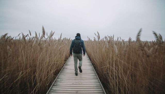 Solitary hiker walking along boardwalk through tall marsh reeds under overcast sky