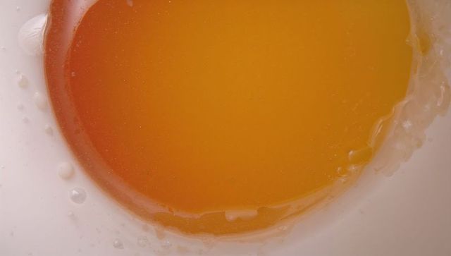 Glistening raw egg yolk in shallow white bowl macro food texture glossy orange albumen