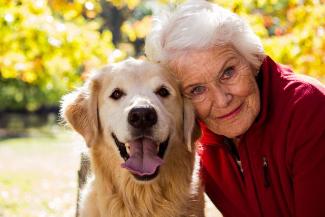 Elderly woman sitting with her golden retriever in a park during autumn. Both are smiling and enjoying the sunny day. Ideal for use in articles about companionship, senior living, pet therapy, outdoor activities, and the benefits of pets for the elderly.