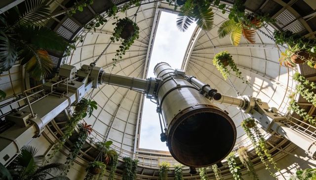 Pointing vintage observatory telescope pivoting through open dome slit with hanging plants