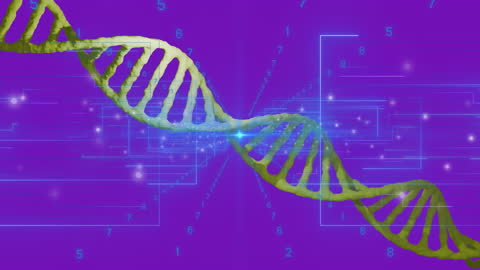 Digital DNA Strand with Binary Light Elements