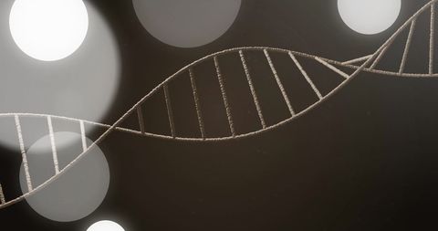 Conceptual DNA Strand with Glowing Circles in Laboratory Setting - Download Free Stock Images Pikwizard.com