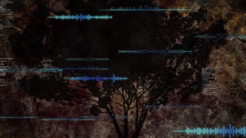 Digital Data Streams Over Tree Silhouette