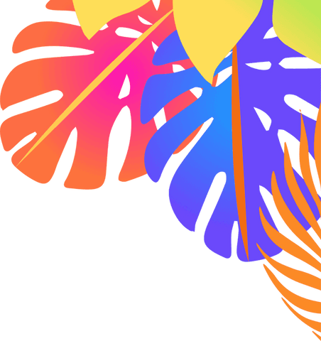 vibrant transparent tropical leaves design with gradient colors - Download Free Stock Videos Pikwizard.com