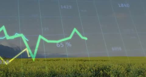 Agricultural Analytics Neon Overlay on Yellow Crop Field