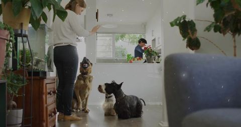 Woman Training Dogs in Cozy Home Environment