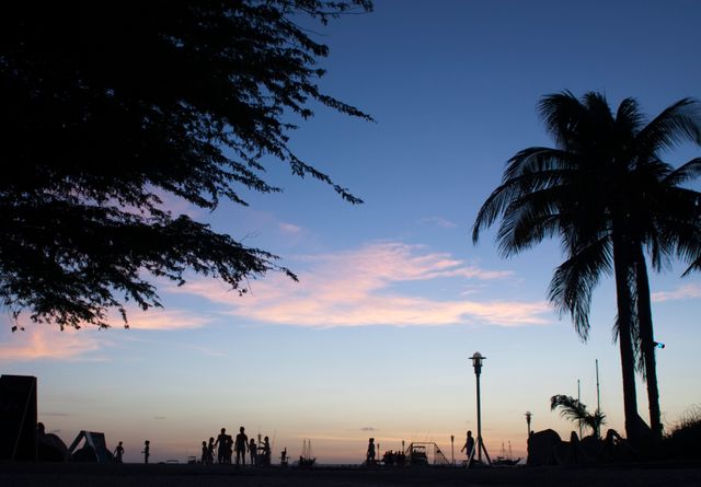 Silhouette of people relaxing and socializing on a tropical beach during sunset, with palm trees and a beautiful twilight sky. Ideal for use in travel advertisements, vacation catalogs, lifestyle blogs, and social media posts highlighting relaxing beach getaways and scenic coastal images.