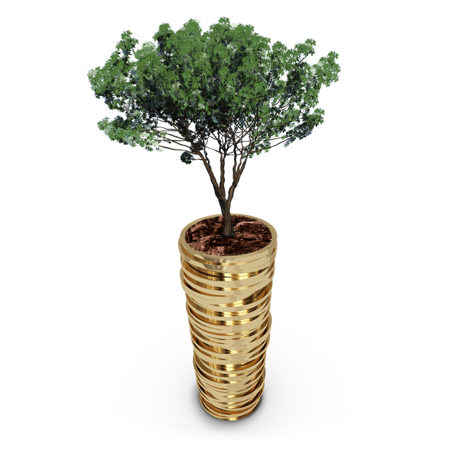 Tree Growing from Golden Coin Pile on Transparent Background - Download Free Stock Videos Pikwizard.com