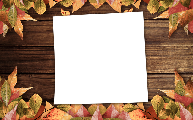 Transparent Frame with Autumn Leaves on Wooden Surface - Download Free Stock Videos Pikwizard.com