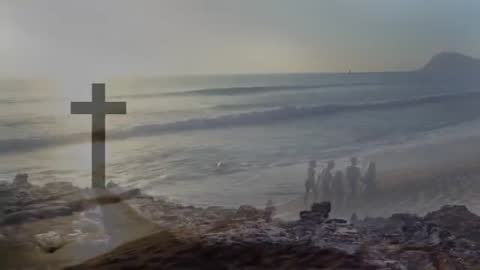 Serenity and Camaraderie at Ocean's Edge