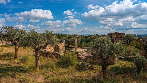 Sunlit mediterranean ruins featuring freestanding stone column, olive trees, blue sky