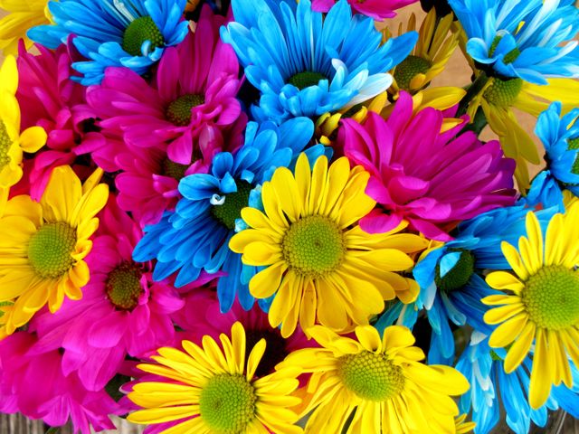 Bright and colorful daisies in shades of yellow, pink, and blue, creating a vibrant floral display. Perfect for use in floral decoration, gardening advertisements, spring event promotions, and nature-themed design projects.