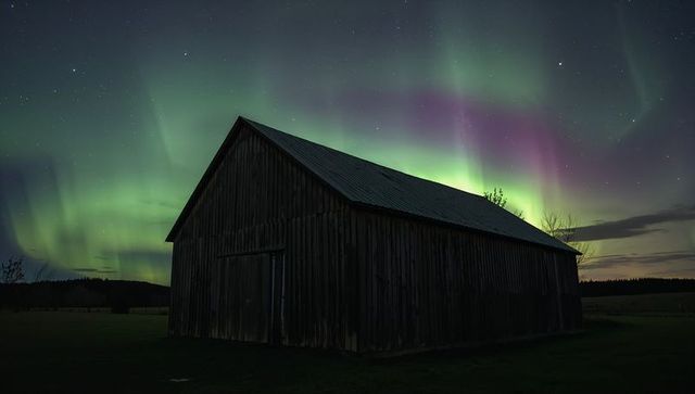 Aurora borealis illuminating weathered wooden barn silhouette under starry northern night sky