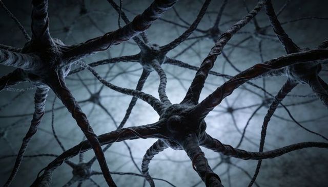 Multipolar neurons sending twisted filaments through dark neural network
