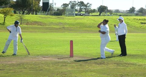 Female Cricketer Ready to Bat on Sunny Cricket Field - Download Free Stock Images Pikwizard.com