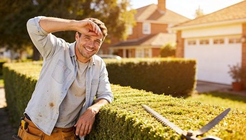 Smiling gardener leaning on freshly trimmed hedge wiping brow in sunny suburban yard