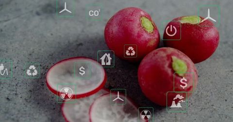 Red Radishes with Eco-Friendly and Sustainability Icons