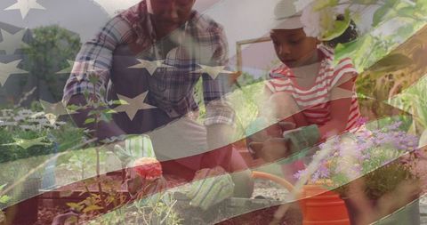 Patriotism in gardening: african american father and daughter sow unity