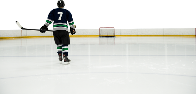 Rear View of Male Player with Hockey Stick standing on Transparent Ice Rink - Download Free Stock Videos Pikwizard.com