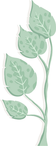 Minimalistic stylized plant branch with transparent background