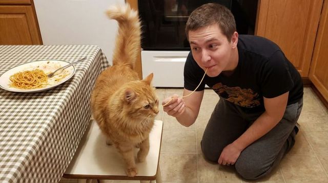 Man sharing spaghetti with curious orange cat on stool in cozy kitchen