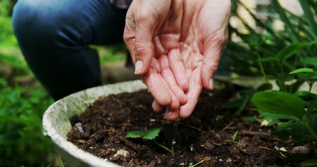 Close-up view of hands gently watering potted plants in a garden. Perfect for content about gardening techniques, environmental conservation, outdoor activities, and plant care tutorials.