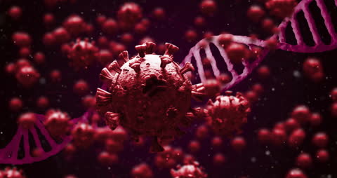 Digital Animation of Virus Cells with DNA Strand Background