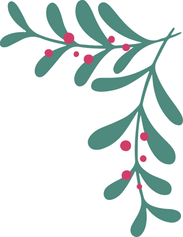 Branch with leaves and red berries on transparent background