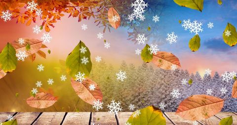 Autumn Leaves and Snowflakes Over Scenic Forest Landscape - Download Free Stock Images Pikwizard.com