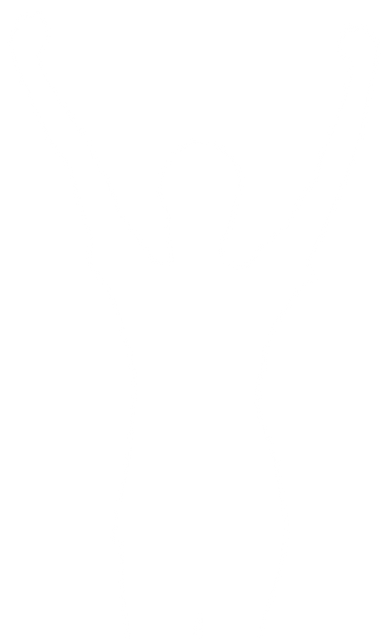 Transparent Silhouette Woman Raising Hands Victory Emotion Vector - Download Free Stock Videos Pikwizard.com