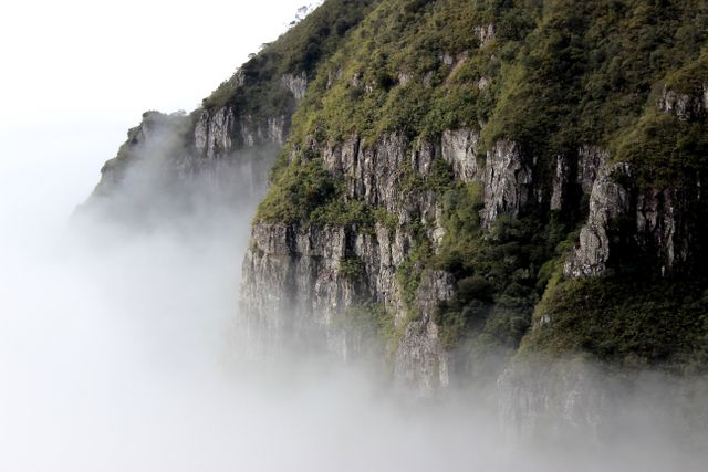 Cliff fog mountain rock - Download Free Stock Photos Pikwizard.com