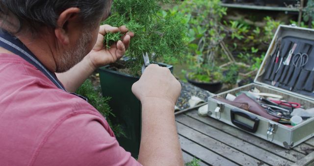 Man Pruning Bonsai Tree in Outdoor Garden with Tool Kit - Download Free Stock Images Pikwizard.com