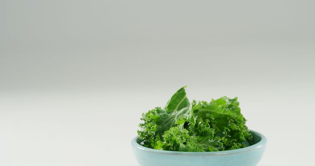 Presents a bowl of fresh green kale leaves. Ideal for illustrating topics related to healthy eating, nutrition, vegan and vegetarian diets, organic food, and salad recipes. Can be used in articles, blogs, and advertisements focused on health, wellness, and clean eating.