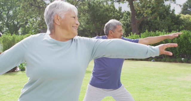 Senior couple engaging in tai chi exercises in a park, promoting healthy lifestyle and fitness. Ideal for content related to elderly wellness, outdoor activities, fitness programs for seniors, and promoting active aging.