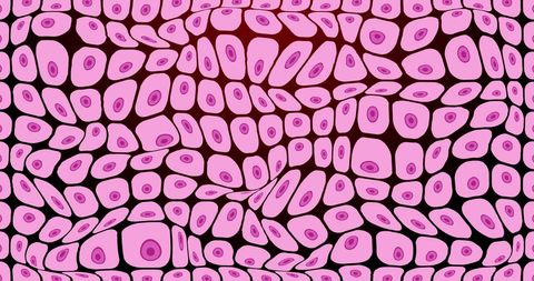 Dynamic Abstract Pattern of Moving Pink Cells on Black Background - Download Free Stock Images Pikwizard.com