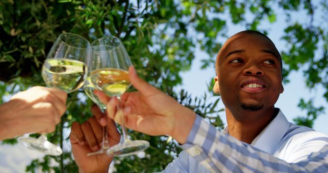 Friends Toasting Together Outdoors On Sunny Day - Download Free Stock Images Pikwizard.com