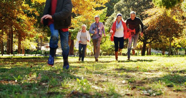 Happy Group of Senior Friends Enjoying Outdoor Activities Together - Download Free Stock Images Pikwizard.com