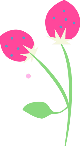 transparent vector strawberries botanical illustration - Download Free Stock Videos Pikwizard.com