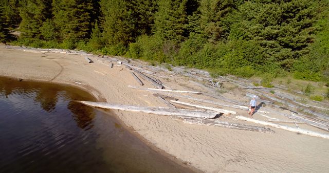 Solitary Person Walking by Driftwood on Remote Sandy Beach - Download Free Stock Images Pikwizard.com