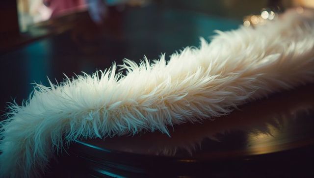 White feather boa resting on glossy dark wood table creating warm luxurious fur texture