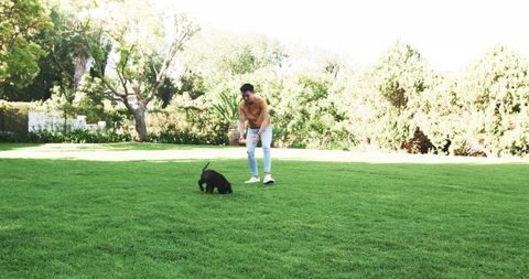 Asian Man Playing with Puppy on Sunny Backyard Lawn