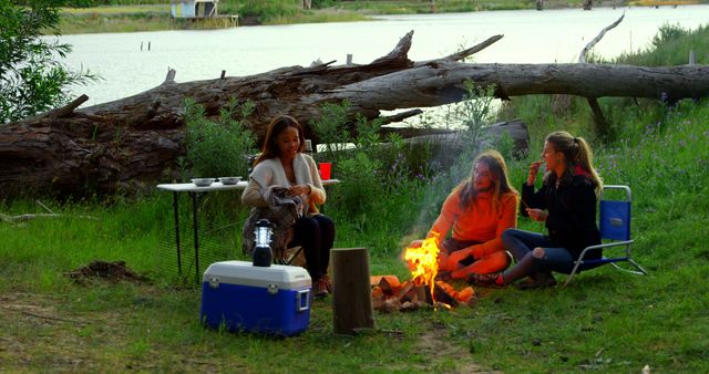 Friends Camping by the Lake with Campfire - Download Free Stock Images Pikwizard.com