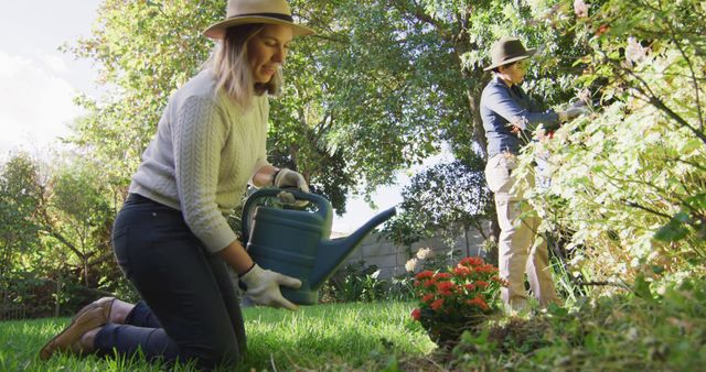 Couple enjoying gardening in backyard, smiling while caring for plants on a sunny day. Perfect for themes of outdoor activities, hobbies, gardening tips, home garden improvement, and teamwork.