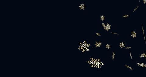 Elegant gold snowflakes against dark background
